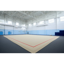 Тренировочный ковер 8х8м (материал Россия)